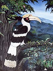 'Painting of a Great Hornbill' by Asienreisender